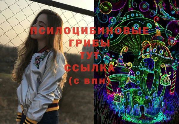 крисы Абаза