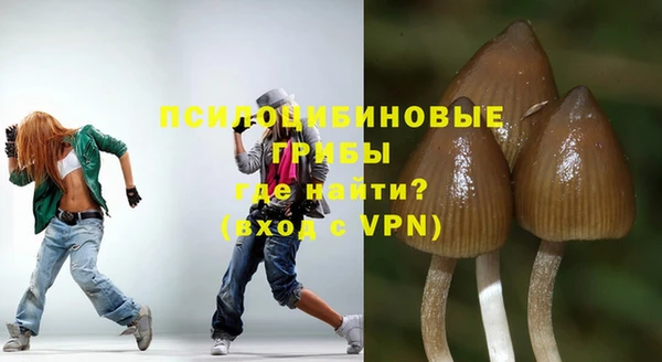 крисы Абаза