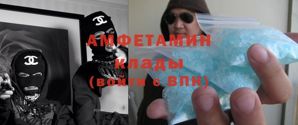 крисы Абаза