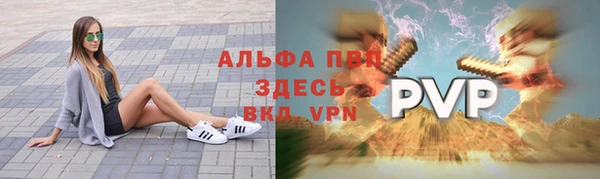 крисы Абаза