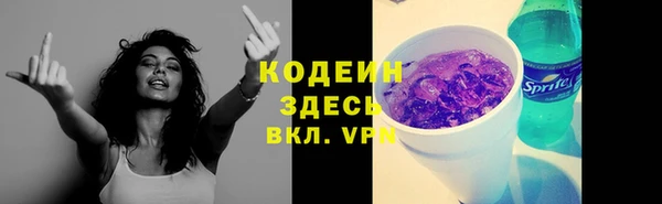 крисы Абаза