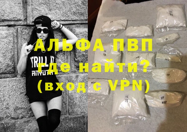 крисы Абаза