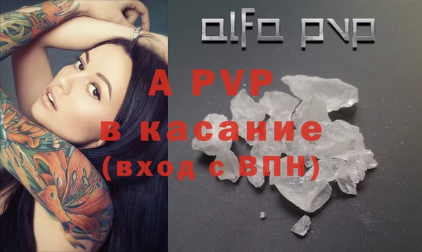крисы Абаза