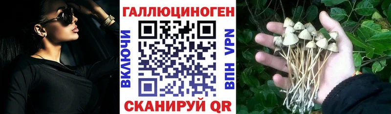 Галлюциногенные грибы мицелий  Тырныауз 